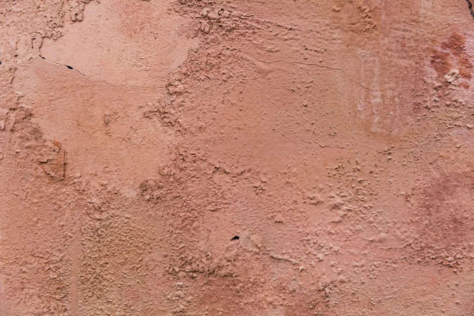 Pared de textura terracota con sombras suaves de hojas